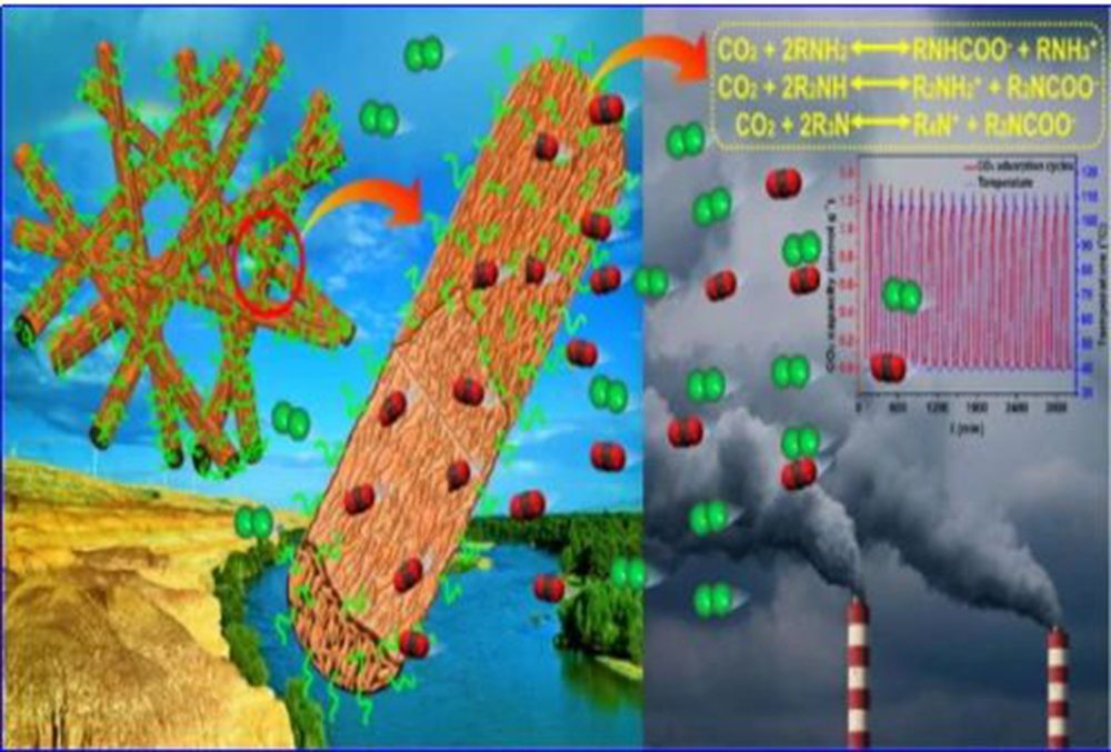 Die Beziehung zwischen Membran und CO2